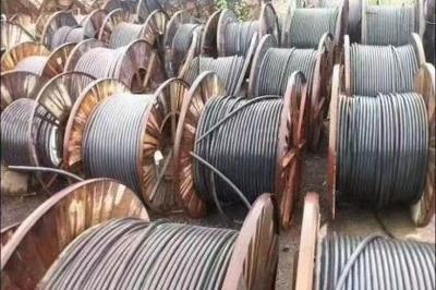 武漢回收服務全解析 資源循環(huán)利用，共建綠色城市